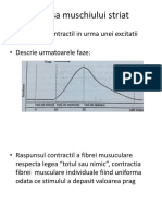 Fizio Muscular