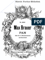 Pan - Brauer PDF