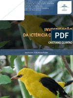 apresentaoinvestigaoictericaobstrutiva-101116215245-phpapp02.pdf