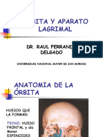 Orbita y Aparato Lacrimal