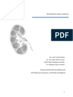 Insuficiencia Renal Cronica articulo.pdf