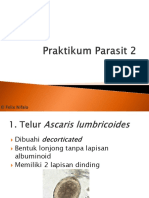Praktikum Parasit 2.pptx