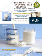 Leche Fermentada L