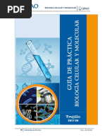 laboratorio mitosis celula vegetal 