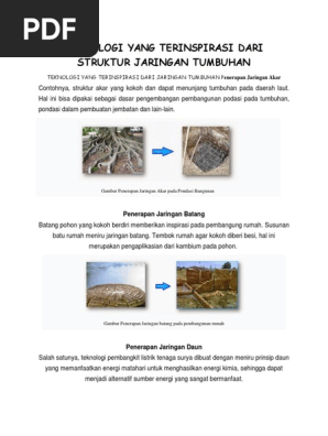Teknologi Yang Terinspirasi Dari Struktur Jaringan Tumbuhan