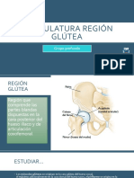 Disertación Musculatura