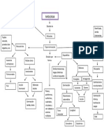 Miologia (Mapa Mental)