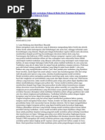 Download Diversitas dan Model Arsitektur Pohon di Hulu DAS Tondano Kabupaten Minahasa Provinsi Sulawesi Utara by Rezha Ahmad SN36514257 doc pdf