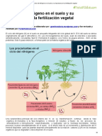 El ciclo del nitrógeno en el suelo: su importancia para la fertilización vegetal