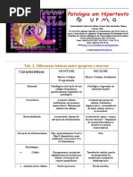 Apoptose vs Necrose- Ufmg-Tabela 2