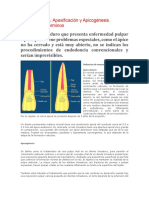 Apexificación y Apicogénesis