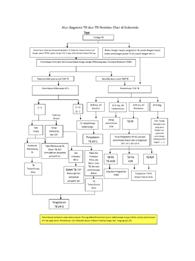 alur-diagnosis-tb-pdf