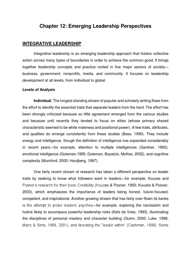 Emerging leaders essay 08 image