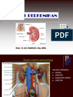 Fisiologi Perkemihan 