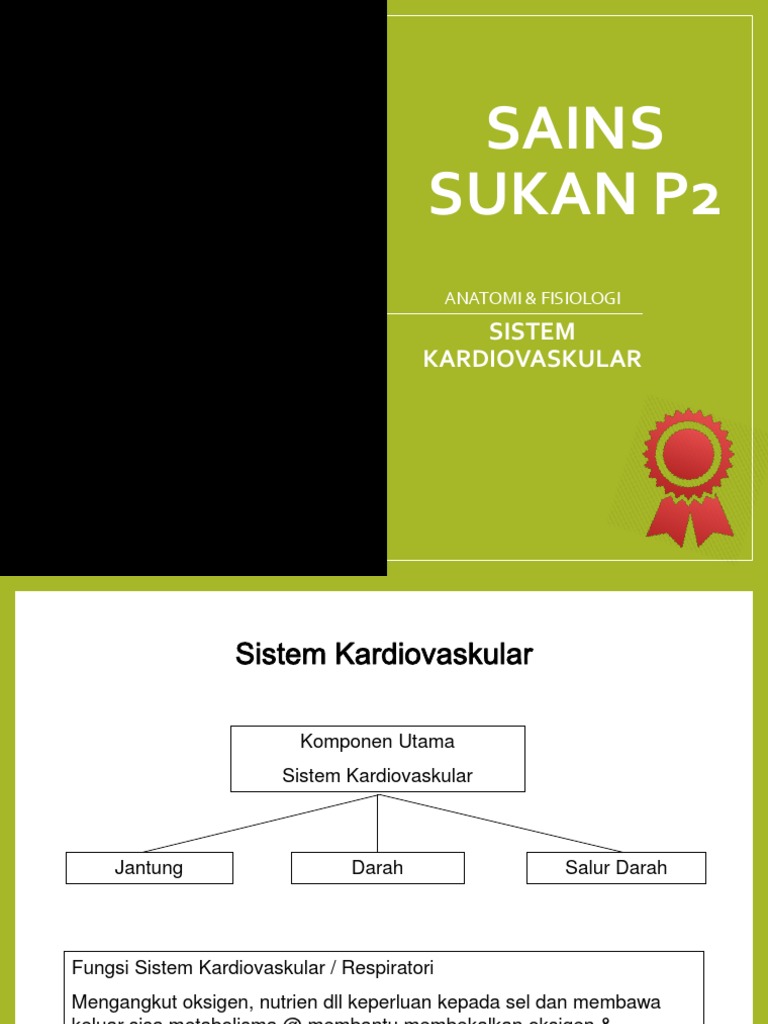 SAINS SUKAN P2 (Anatomi & Fisiologi) | PDF