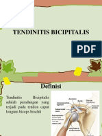 Download Tendinitis Bicipitalis by Dina Dinda Restiwi SN365169560 doc pdf