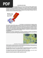 Los Inicios de La Vida