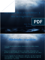 Habilidades Cognitivas y Metacognitivas 