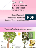 Klasifikasi DURIAN