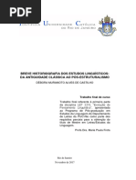 Trabalho Evolin - Completo