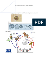 Osce Parasitologi