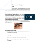 Cómo Prevenir El Dengue, La Zika, y Chikungunya