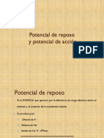 Potencial de reposo y potencial de acción.pdf
