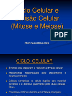 Ciclo e Divisao Celular