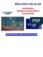 Aula 2 - Biologia celular (Parte 1) - Introdução, células procariontes e eucariontes.pdf