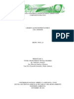 Realización de Auditorías e Interventorías Ambientales Tutor Practico