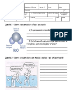 ATIVIDADE DE CIENCIAS PROPRIEDADE DA AGUA MARIETA.docx