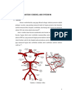 Tipus Neuro