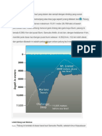Palung laut adalah dasar laut yang dalam dan sempit dengan dinding yang curam membentuk corong dan memanjang atau bisa juga seperti jurang didalam laut.docx