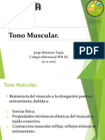 Tono Muscular PDF