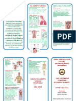 Los 8 sistemas que componen el cuerpo humano