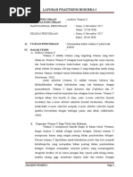 Download Laporan Praktikum Biokimia VitC by nurul SN365238677 doc pdf