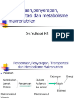 Pencernaan, Penyerapan, Transportasi Dan Metabolisme Makronutrien