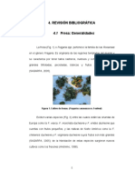 fresitas.pdf