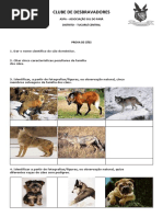 Especialidade de Cães Prova Ok