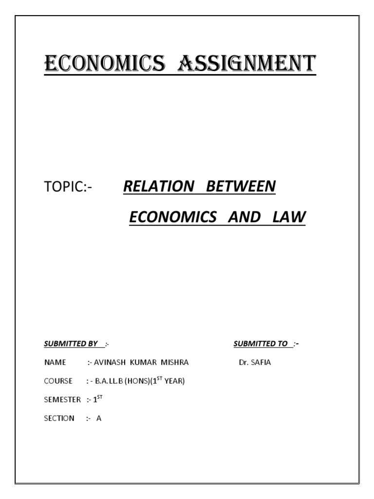Economics Assignment | PDF | Law And Economics | Pareto Efficiency