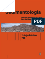 Sedimentologia - UNP - Argentina.pdf