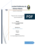 Investigación de Biorremediacion (Jacquez) 9TM Corregido