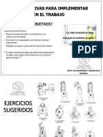 MANUAL PAUSAS ACTIVAS.pdf