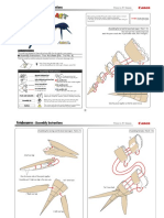 Dinosaurio Futabasaurus Inst PDF