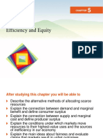 6. Efficiency and Equity