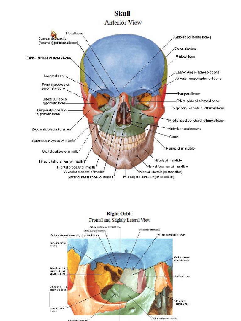 [Image: 1619991305?v=1]
