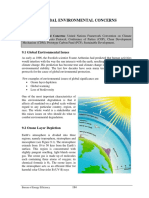 1.9 Global Environmental Concerns.pdf