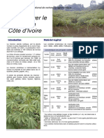 Cultiver Manioc PDF