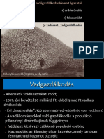 07 - Vadgazdálkodás