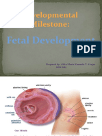 Developmental Milestone:: Fetal Development